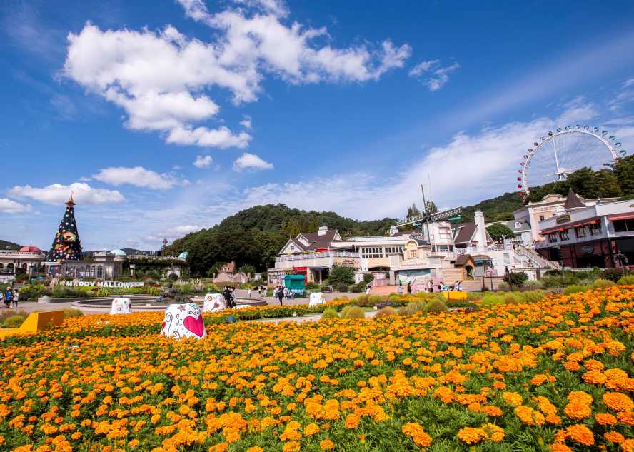 สวนสนุกเอเวอร์แลนด์ (Everland)