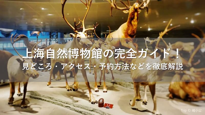  上海自然博物館