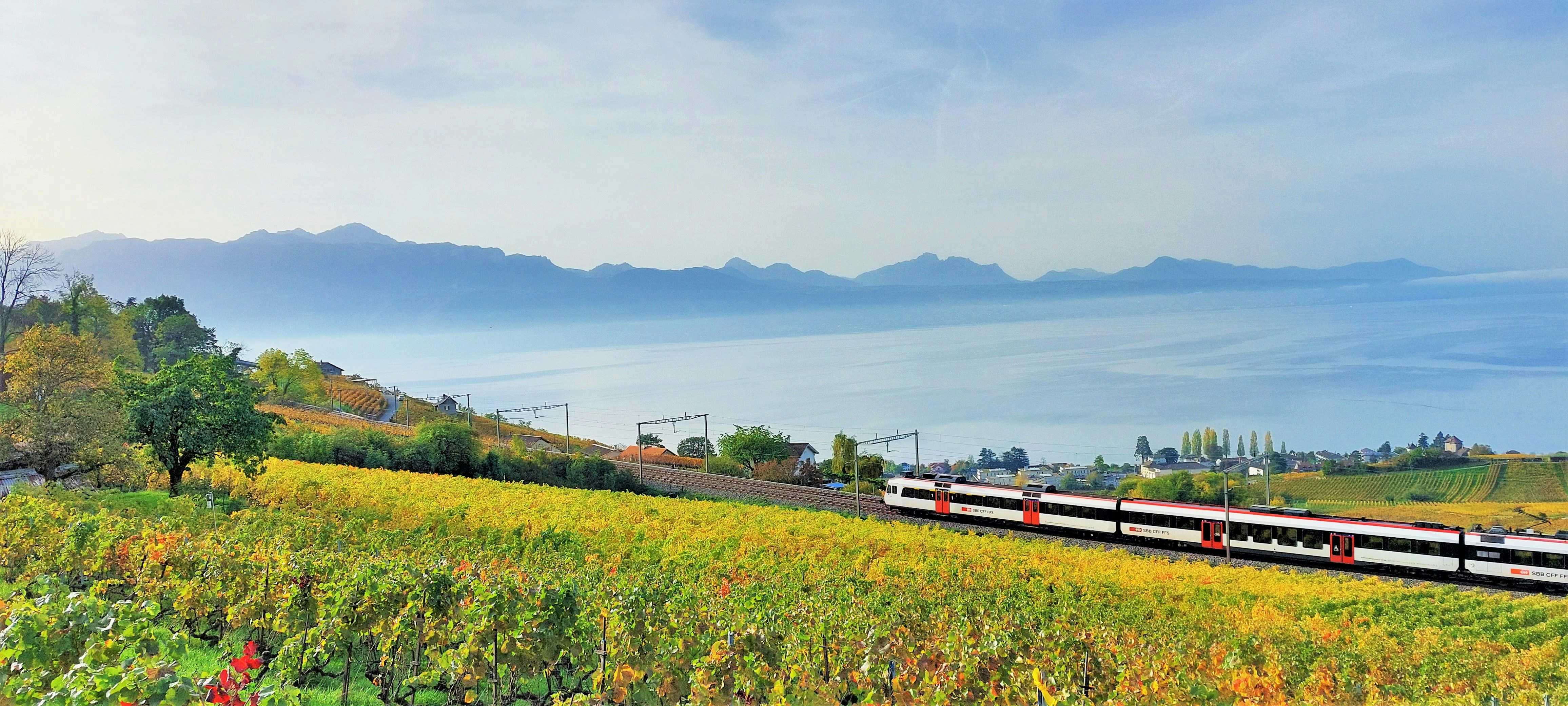 Europe Train Booking: Best Eurail Pass Options for Traveling Europe