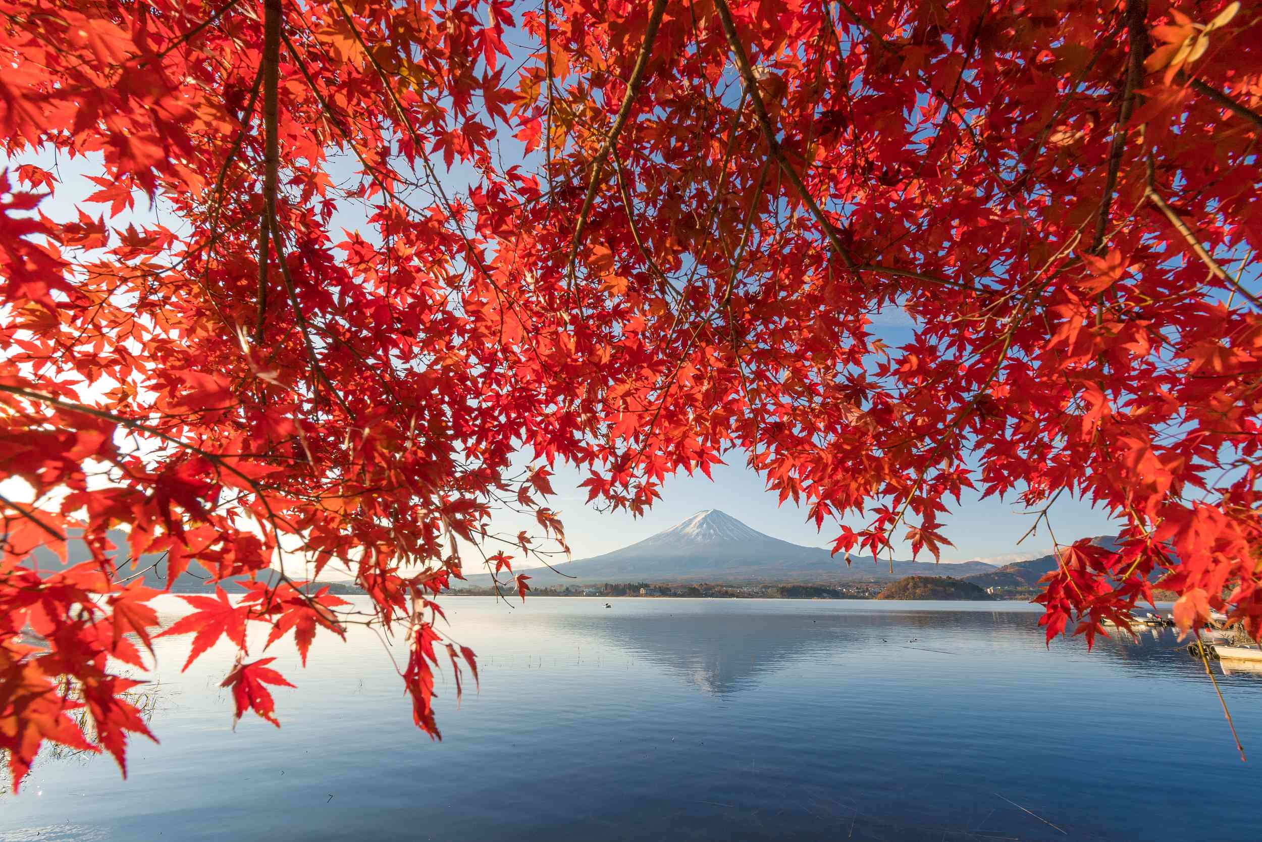 일본 단풍 여행