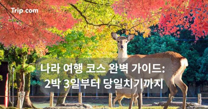 나라 여행 코스 완벽 가이드: 2박 3일부터 당일치기까지 | 트립닷컴
