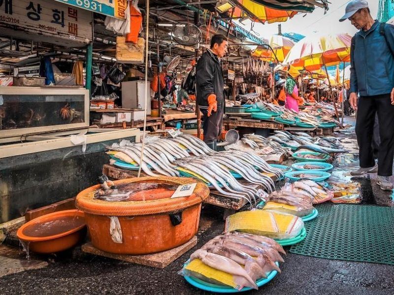 Jalgachi Market