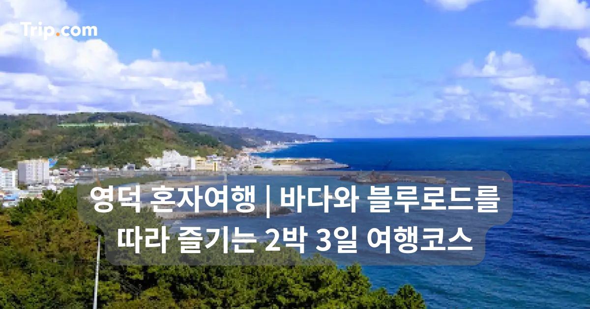 영덕 혼자여행
