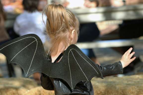 東京ディズニーランドのハロウィン仮装を楽しむためのルールガイド