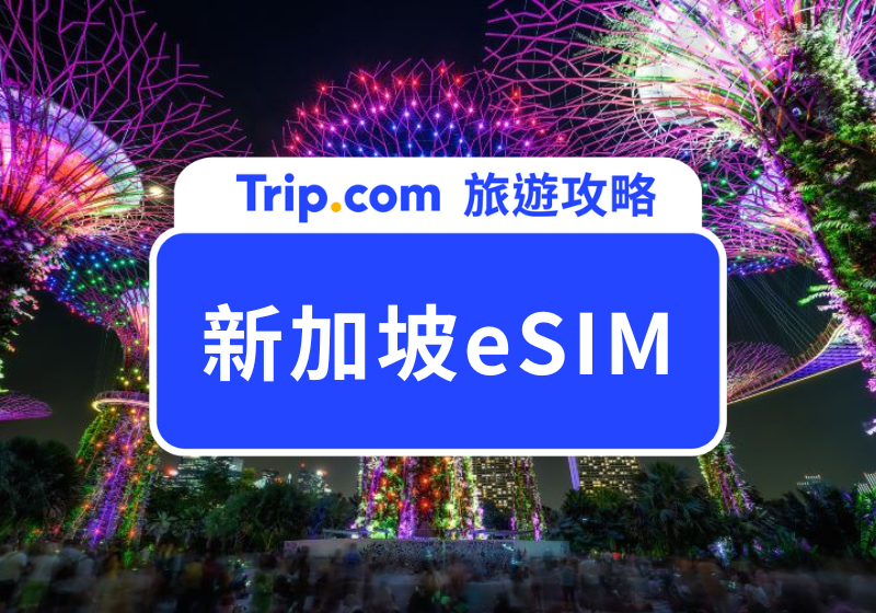 新加坡eSIM