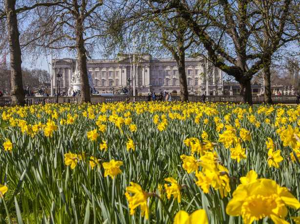 waktu terbaik untuk ke london