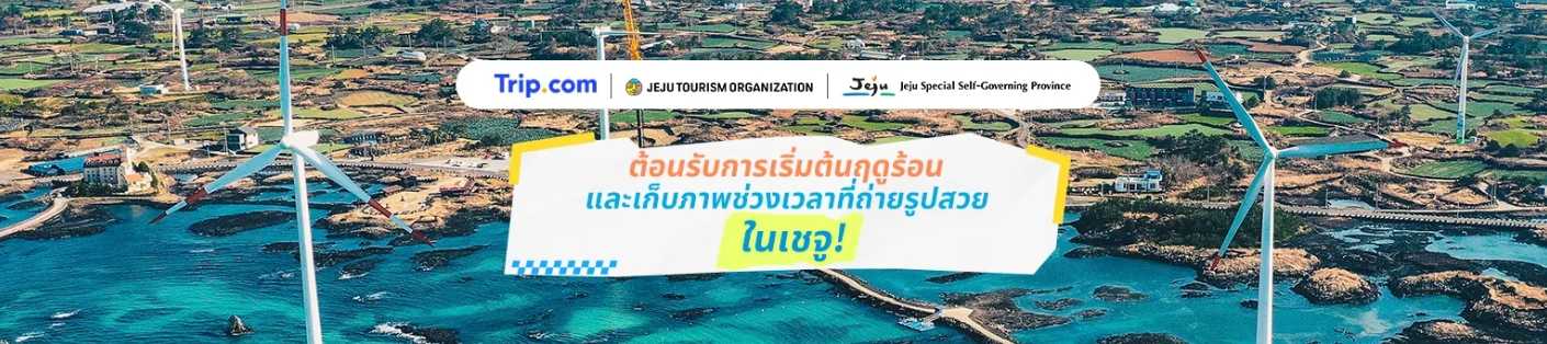 เก็บภาพช่วงเวลาที่ถ่ายรูปสวยในเชจู