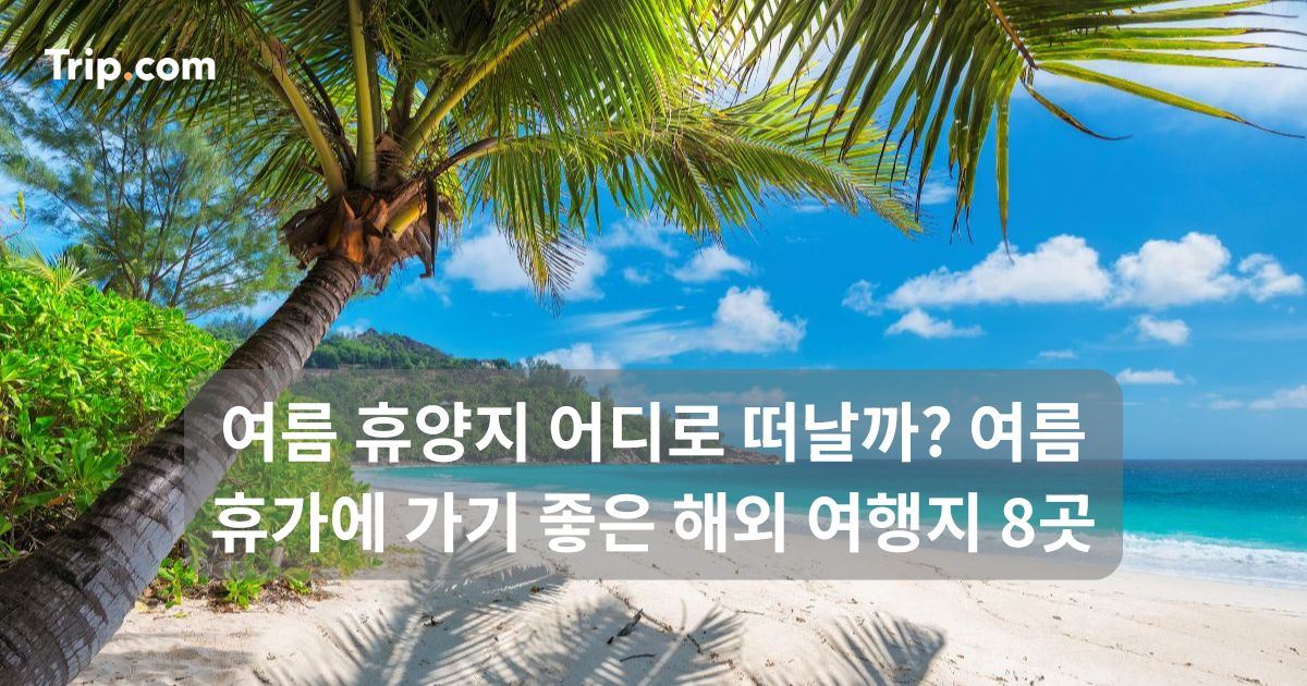 여름 휴양지