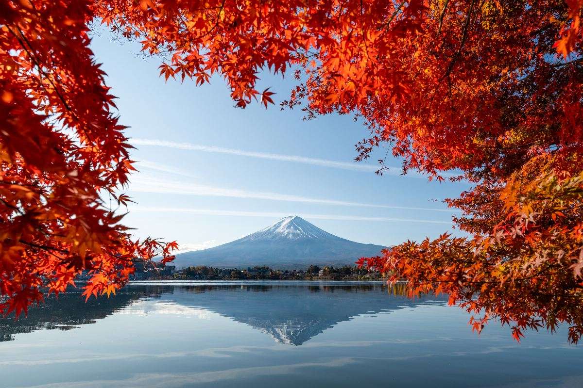 도쿄에서 시즈오카 여행 필수 어플
