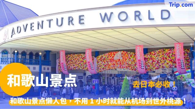 和歌山景点 | 关西地区自由行指南：10大必访名胜、票价与交通全攻略 | Trip.com