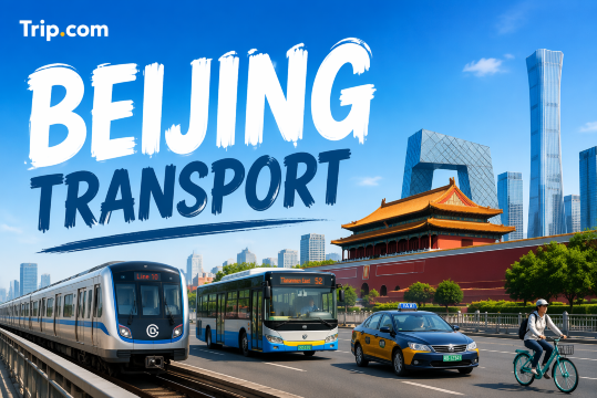 Beijing Transport Guide: How to Get Around the City Easily