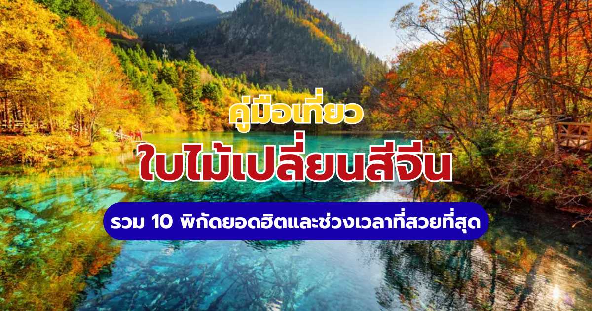ใบไม้เปลี่ยนสีจีน 2569: 10 พิกัดสวยที่สุด พร้อมช่วงเวลาพีค | Trip.com