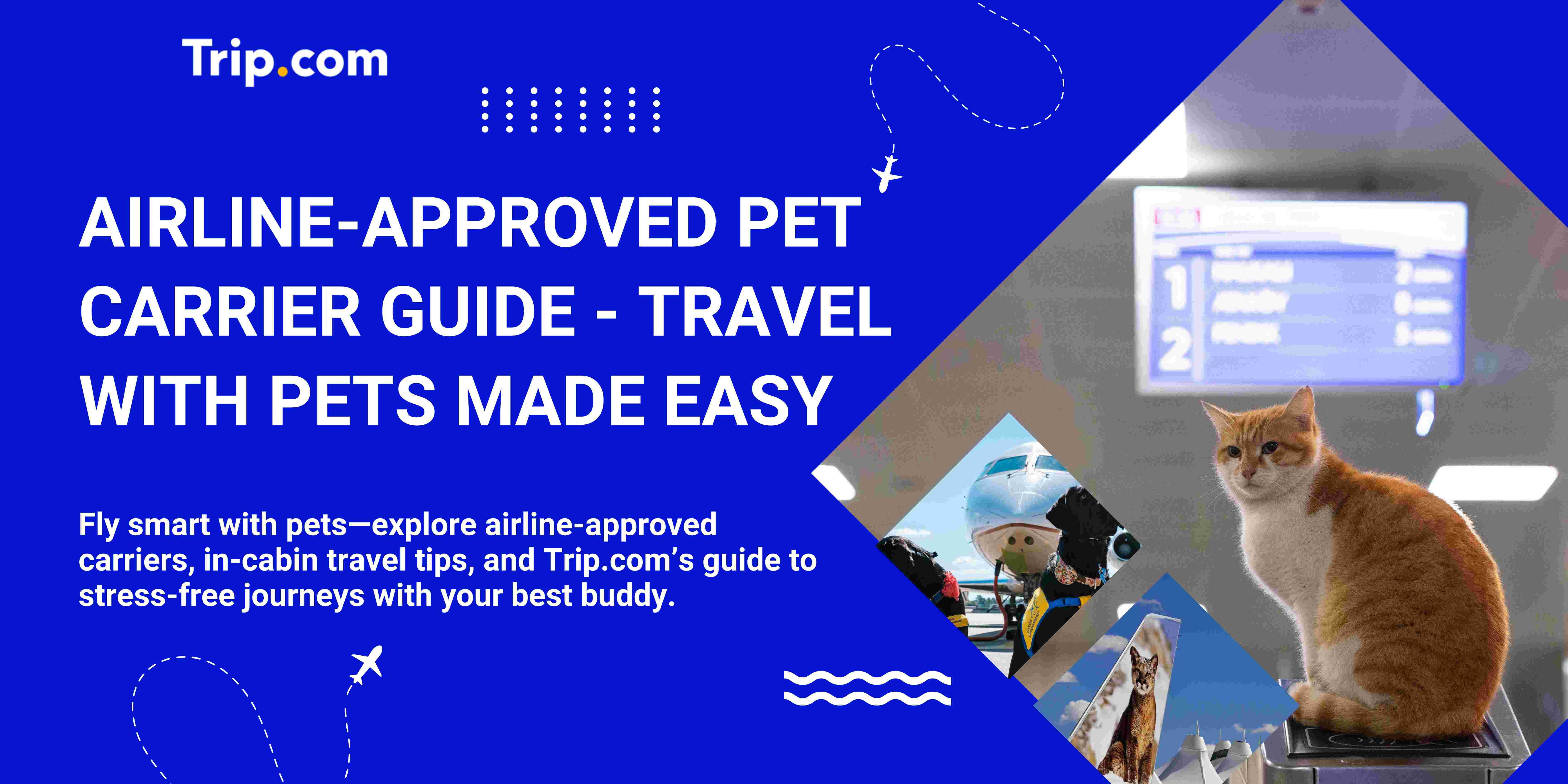 Airline-Approved Pet Carrier Guide - Travel with Pets Made Easy