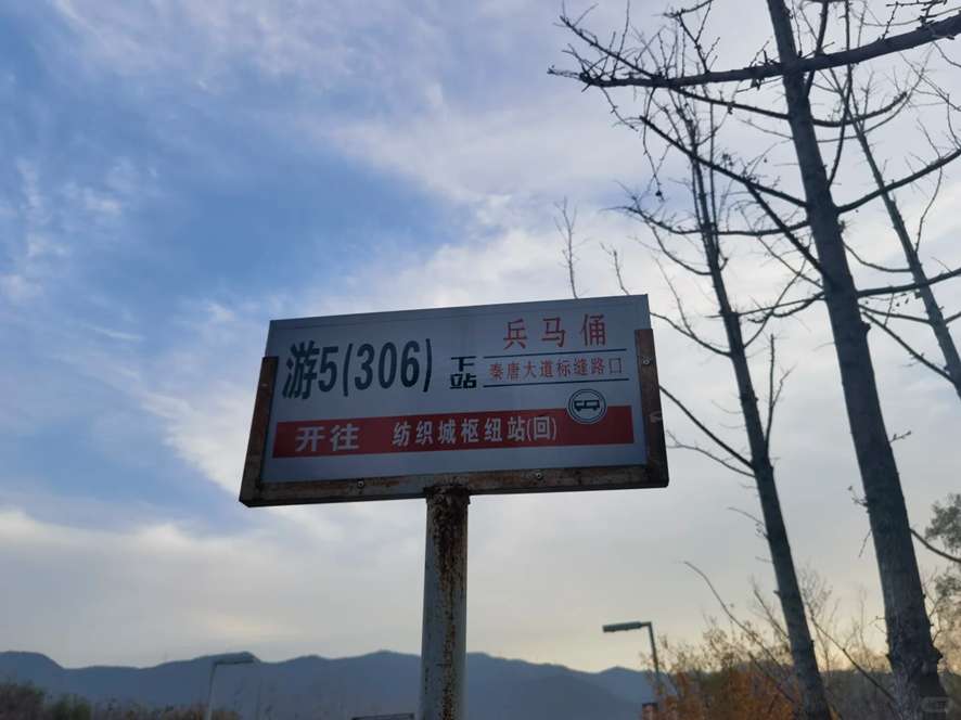 兵馬俑への行き方②:直行バス【乗り換えなし】