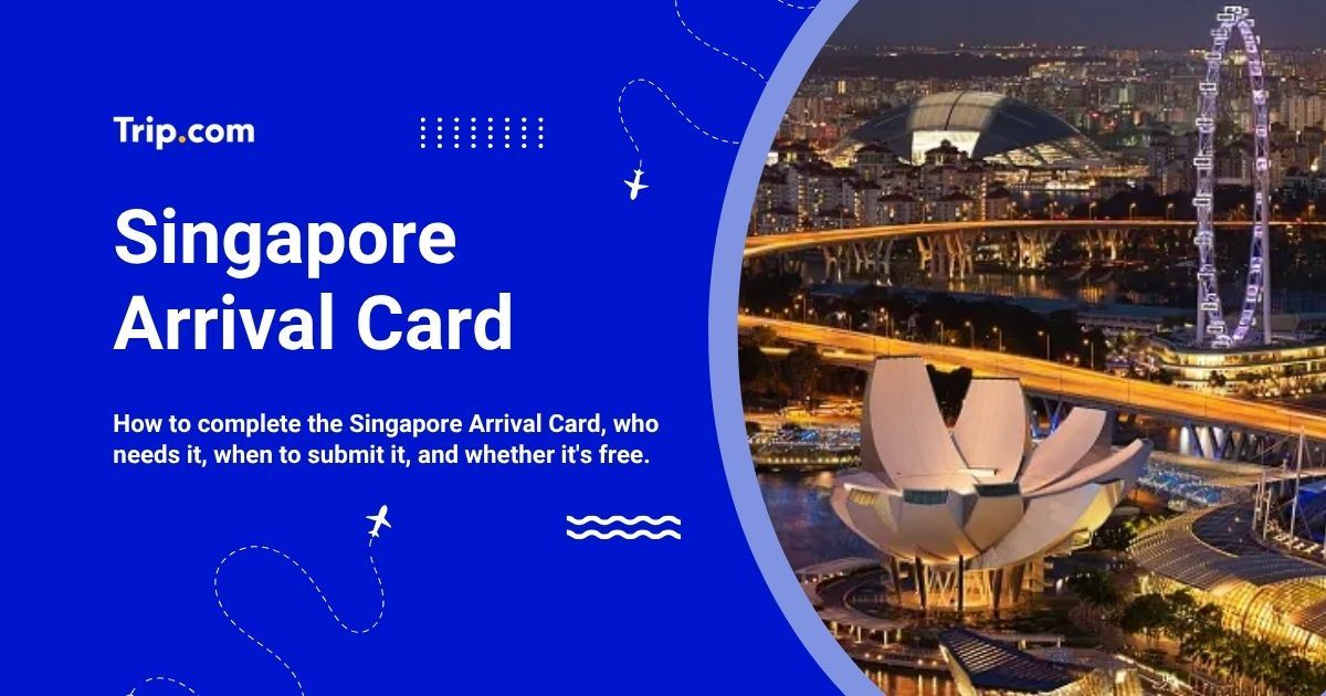 Singapore Arrival Card