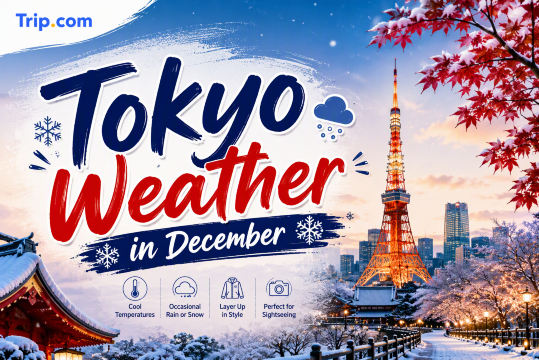 Tokyo Weather in December