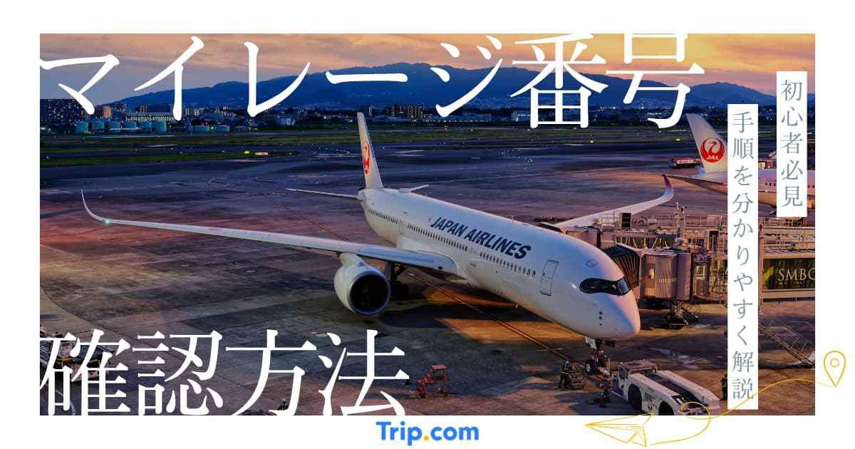 マイレージ番号とは？確認方法・調べ方・登録方法をわかりやすく解説