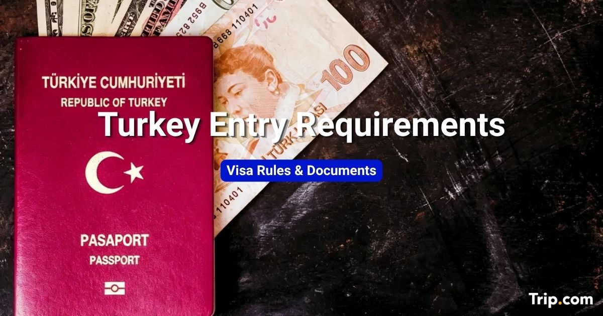Turkey Entry Requirements for UK: Visa Rules & Documents