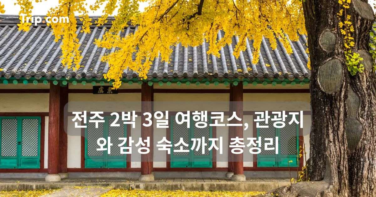 전주 2박 3일 여행코스, 관광지와 감성 숙소까지 총정리 | 트립닷컴
