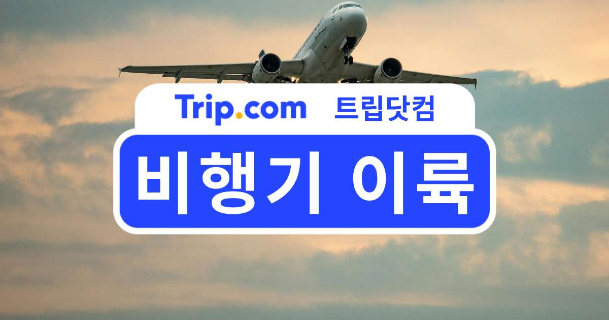 비행기 이륙 가이드