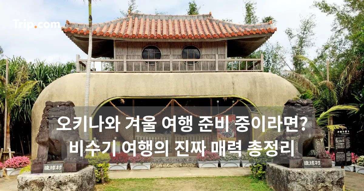 오키나와 겨울 여행 준비 중이라면? 비수기 여행의 진짜 매력 | 트립닷컴