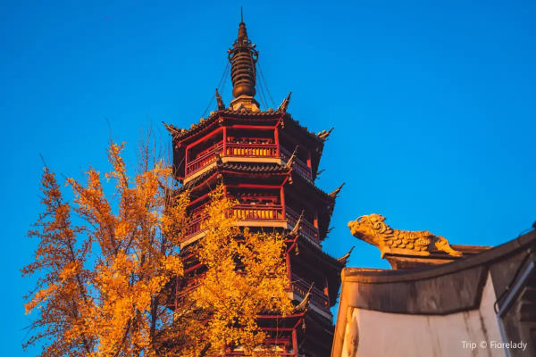 初日｜無錫旅行2泊3日モデルコース