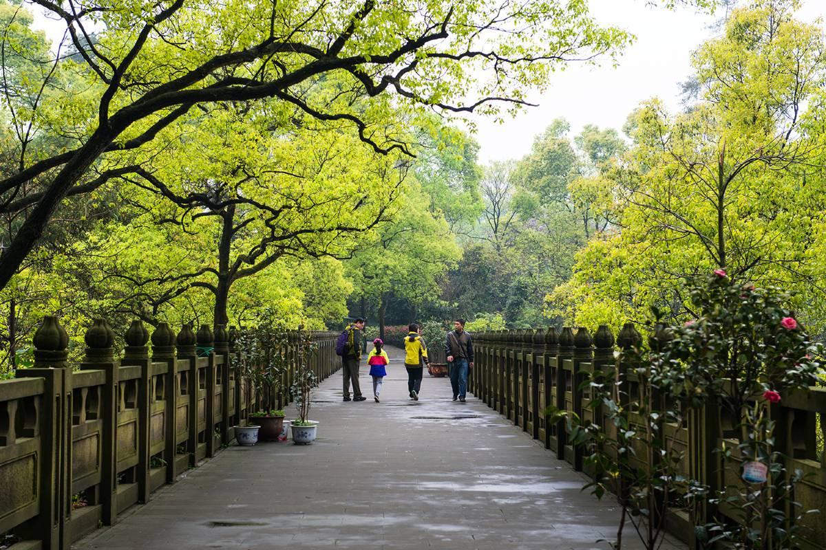 Nanshan Botanical Garden