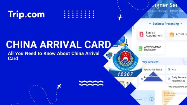 China Arrival Card