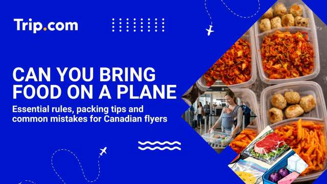 Can you Bring Food on a Plane
