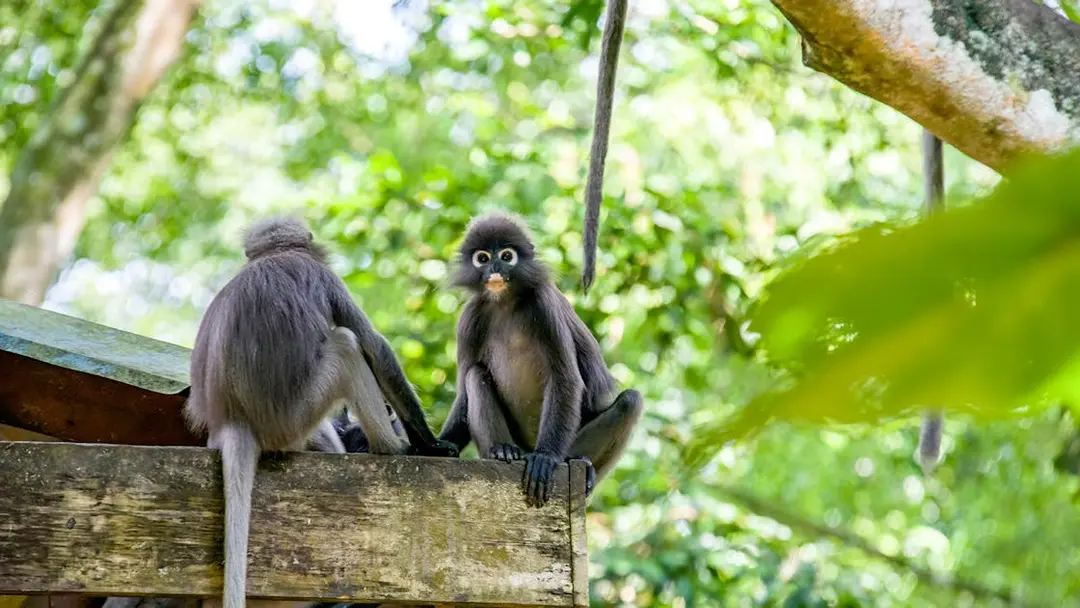 Zoo Melaka
