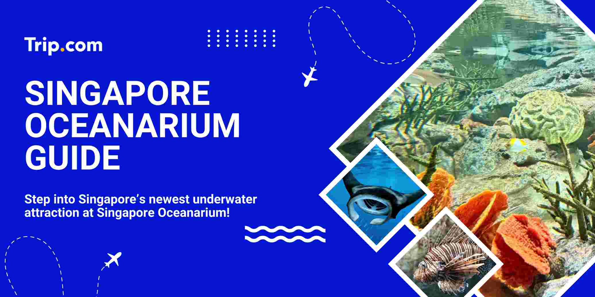 Singapore Oceanarium