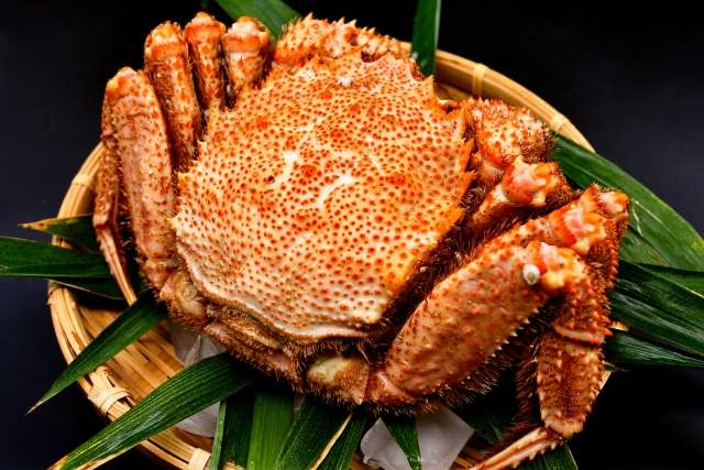 北海道流氷旅行で食べたい！オホーツク極上冬グルメ