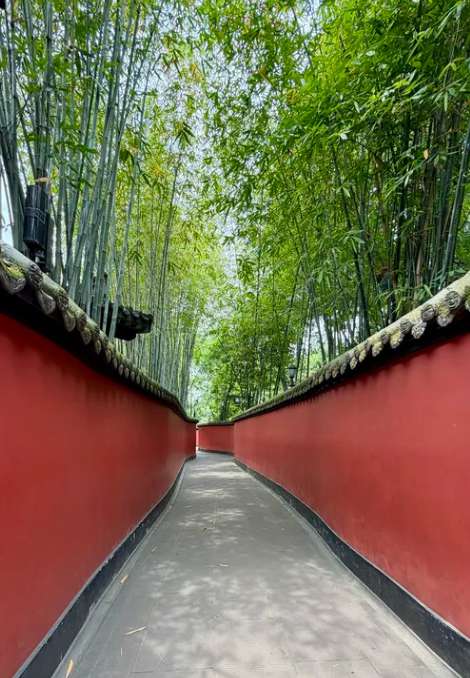 What to Expect? Chengdu Layover at a Glance