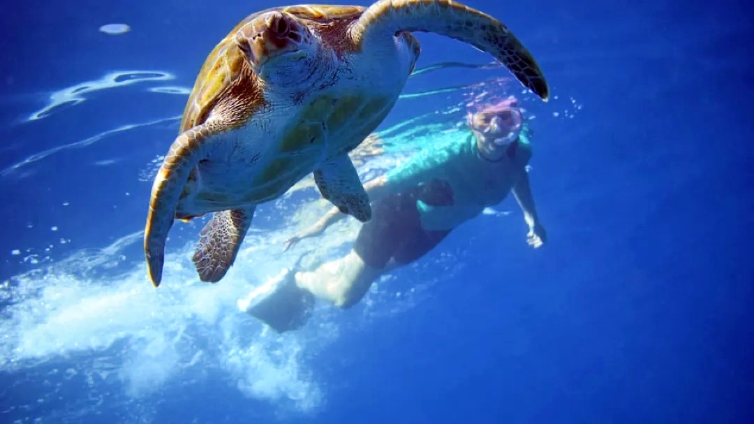 Things to do in Tenerife