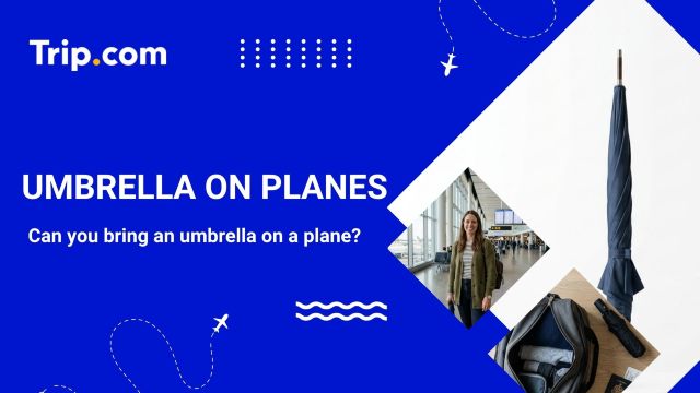 Umbrella on a Plane: CATSA Rules & Airline Policies | Trip.com
