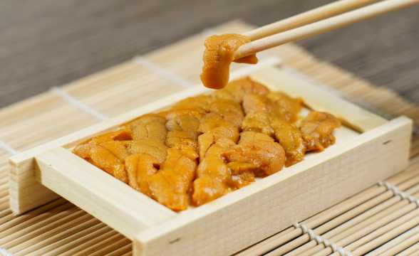 Hokkaido Uni