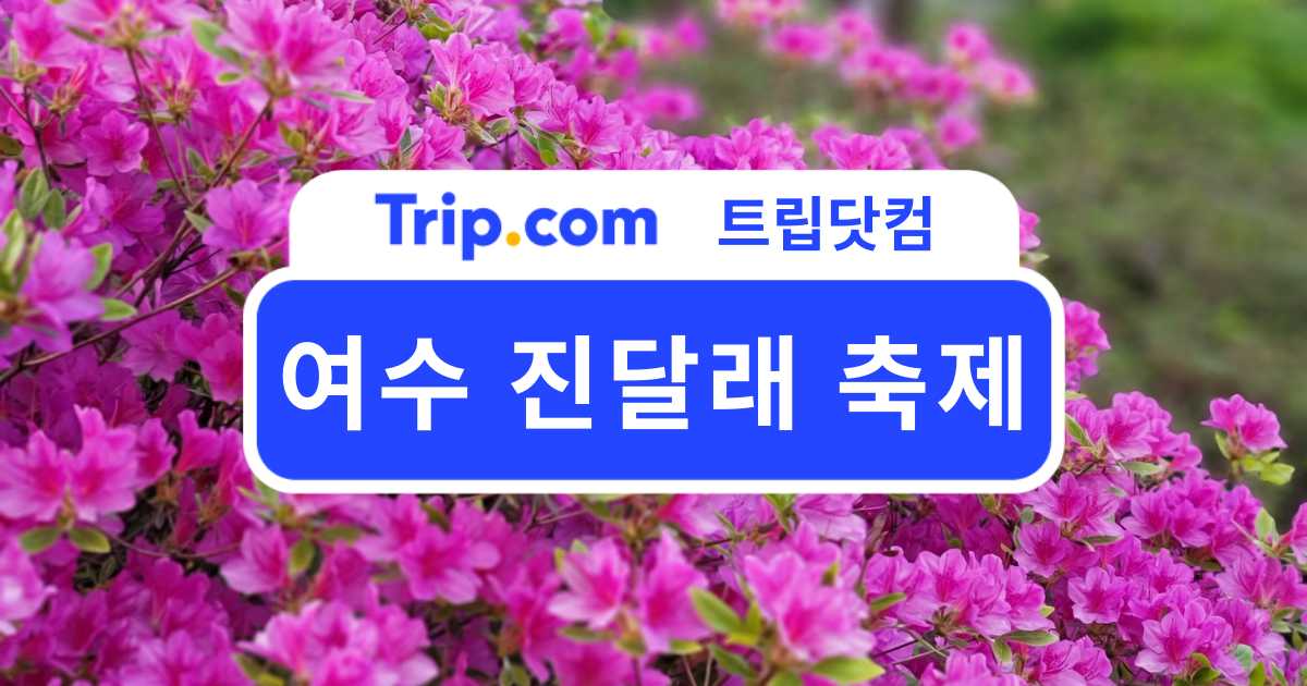 여수 진달래 축제