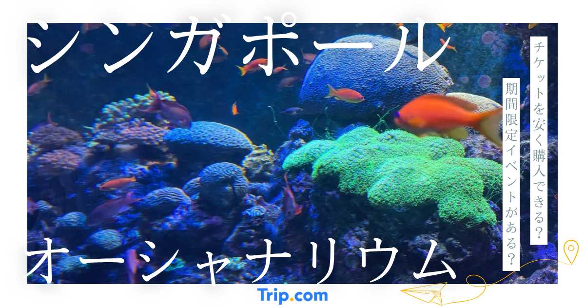 シンガポール・オーシャナリウムとは？割引チケット・見どころ・所要時間