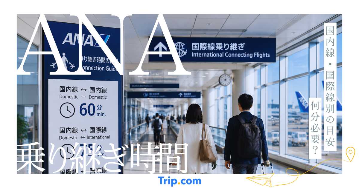 ANAの乗り継ぎ時間は何分必要？国内線・国際線別の目安と注意点
