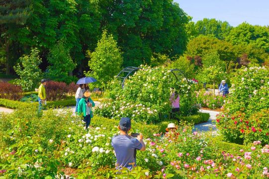 Jeonju Arboretum