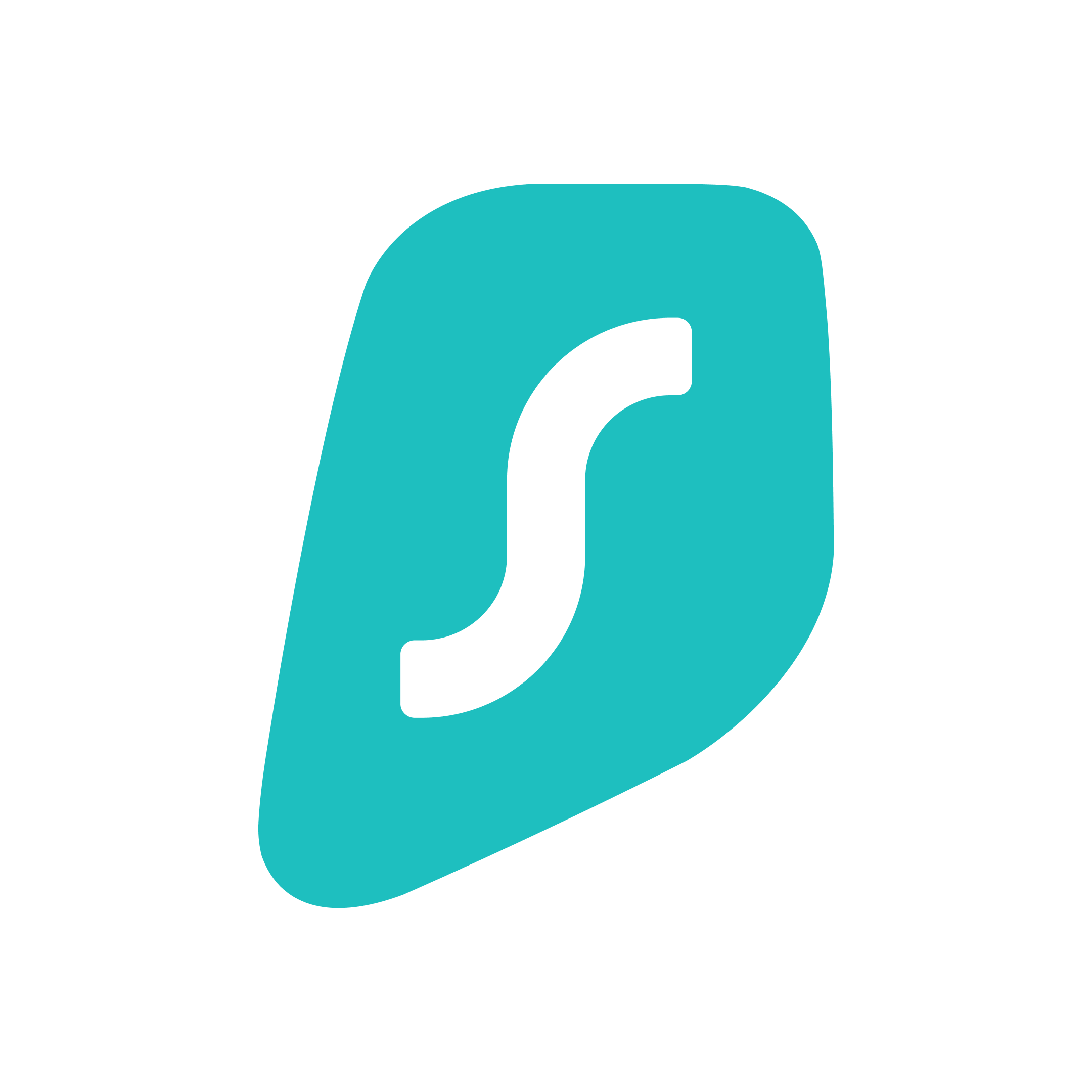 China VPN