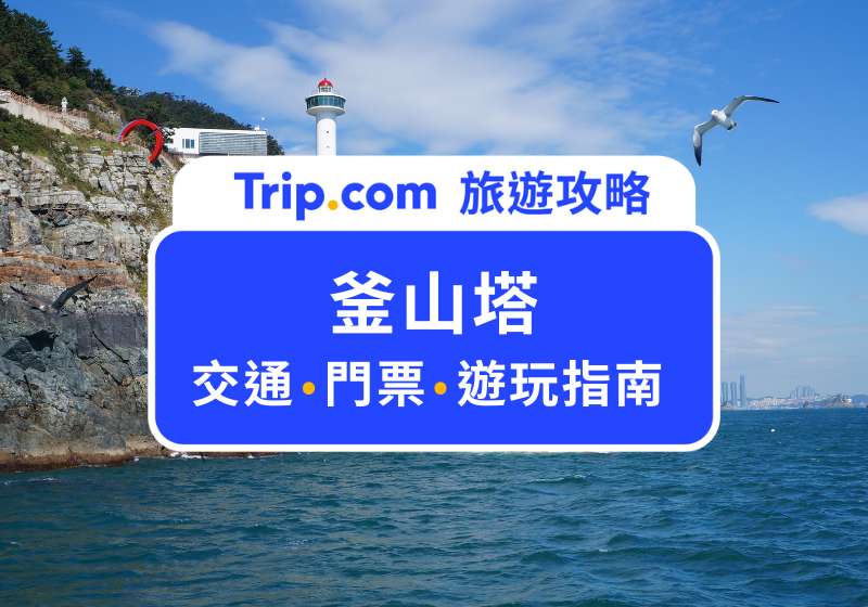 釜山塔最新指南