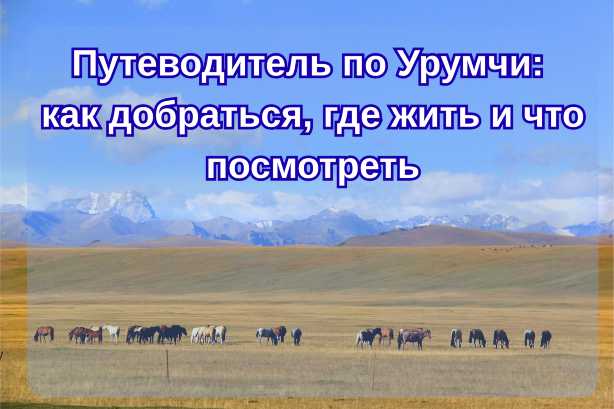 Путеводитель по Урумчи: как добраться, где жить и что посмотреть