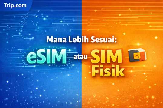 Perbandingan eSIM vs SIM Card Arab Saudi untuk Wisatawan | Trip.com