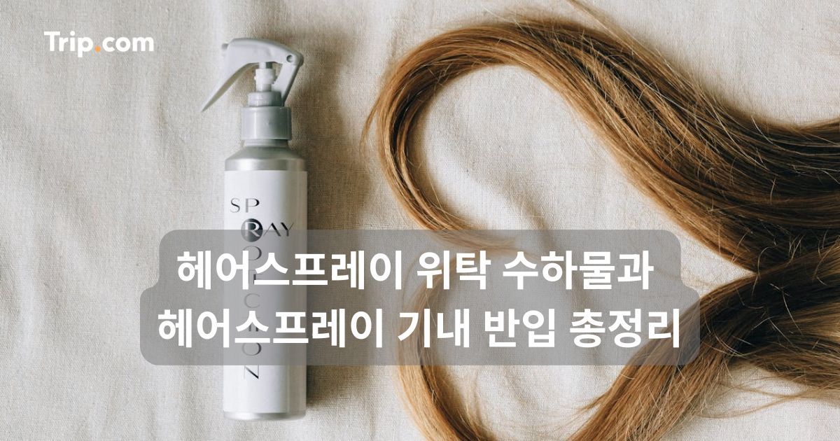 헤어스프레이 위탁 수하물과 헤어스프레이 기내 반입 총정리 | 트립닷컴