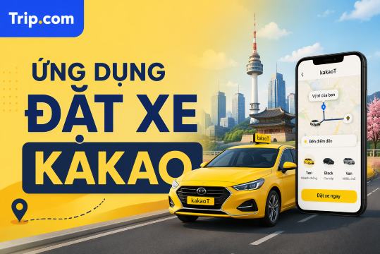 Ứng dụng Kakao Taxi (Kakao T) 2026: Hướng dẫn gọi xe tại Hàn Quốc cho người Việt | Trip.com