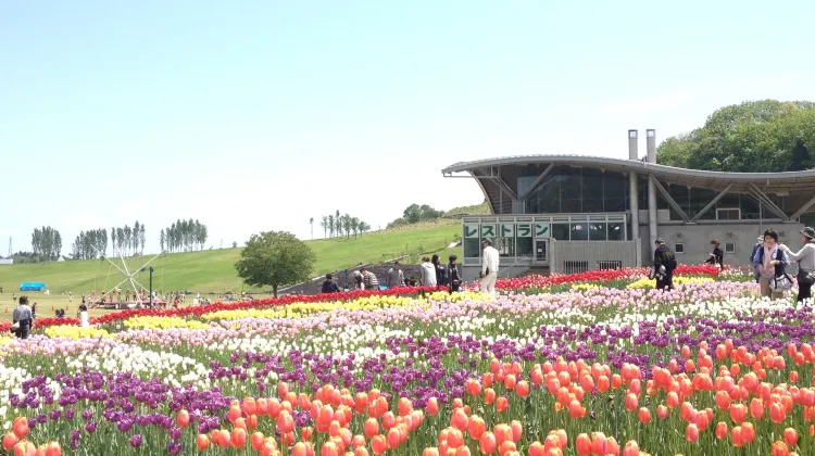 長岡必去景點之國營越後丘陵公園