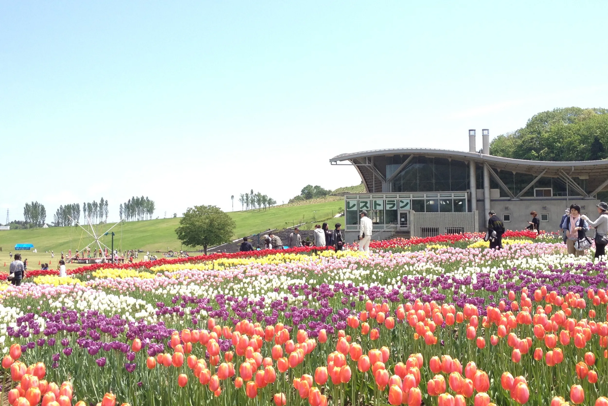 長岡必去景點之國營越後丘陵公園