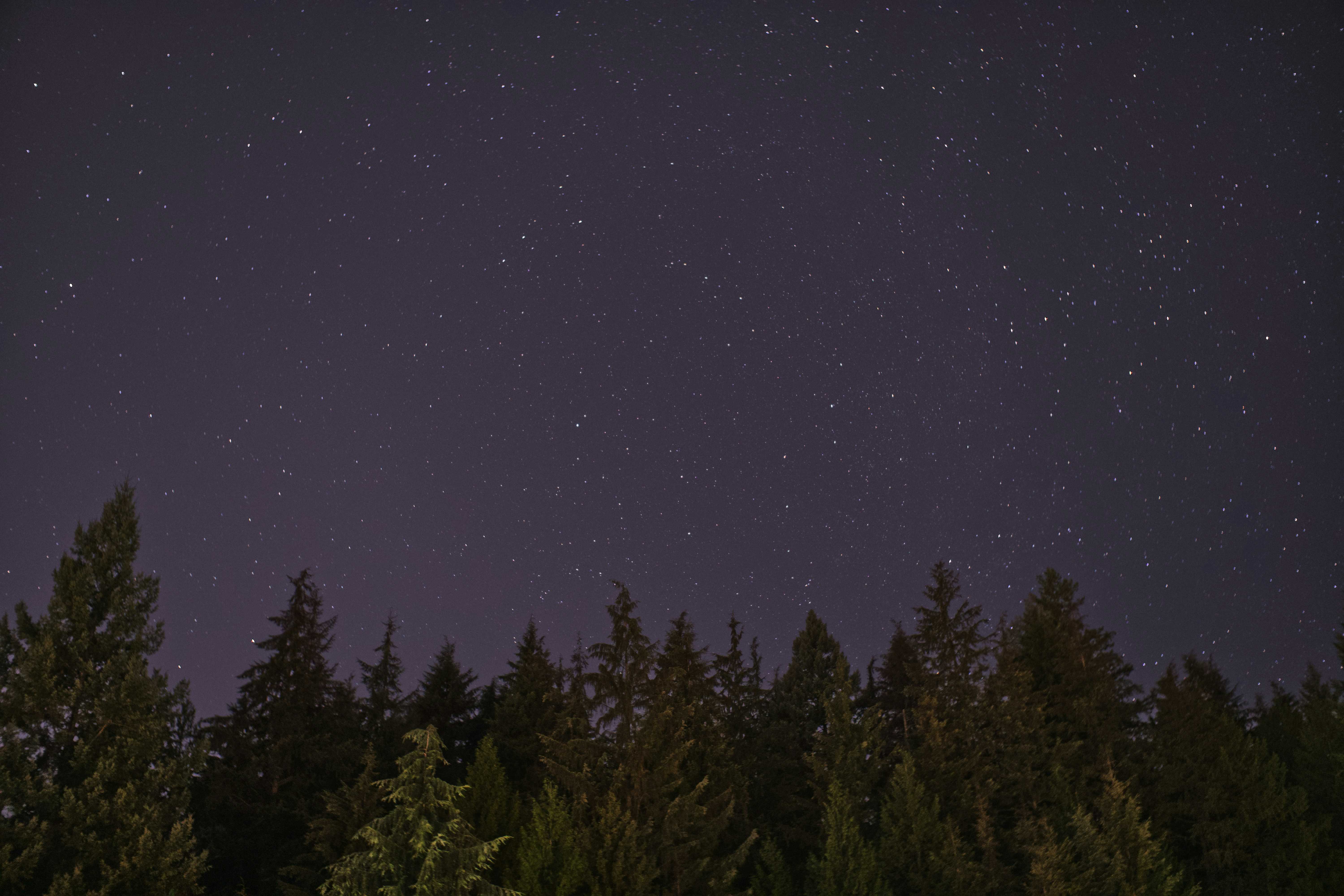 Best Time to See Northern Lights in Canada-When to Visit Top Attractions