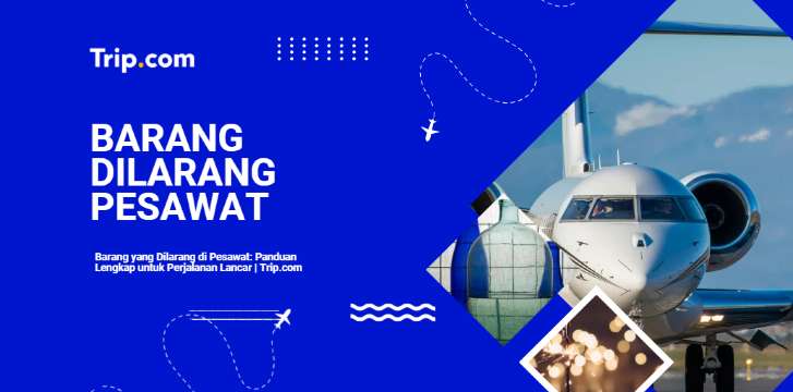 Barang yang Dilarang di Pesawat: Panduan Lengkap untuk Perjalanan Lancar|Trip.com